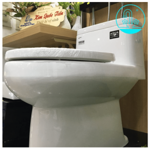 Ảnh công trình thực tế Bồn Cầu INAX AC-939VN (AC939VN) 1 Khối Aqua Ceramic