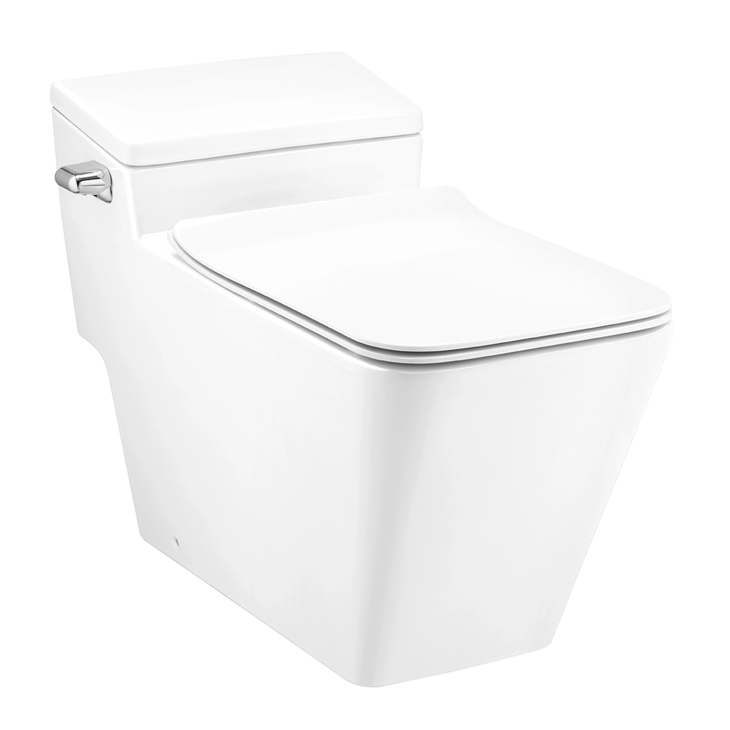 Bồn Cầu COTTO C103247 1 Khối Nắp Êm Xả Gạt