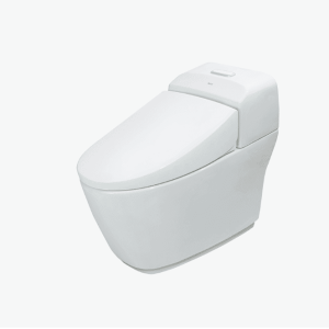 Bồn Cầu INAX AC-1032VN 1 Khối (S400 LINE)
