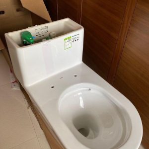 Ảnh công trình thực tế Bồn cầu TOTO 1 khối CW166RB#XW/TC384CVK#W/T53P100VR 1 khối nắp đóng êm TC384CVK#W