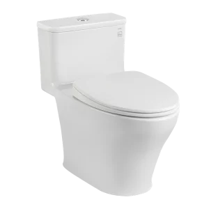 Ảnh công trình thực tế Combo Thiết Bị Vệ Sinh TOTO 02