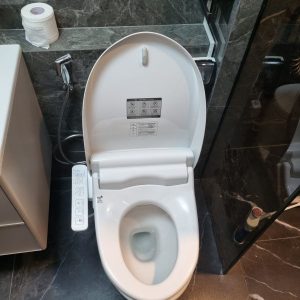 Ảnh công trình thực tế Bồn cầu Inax một khối nắp rửa điện tử AC-959A+CW-H18VN