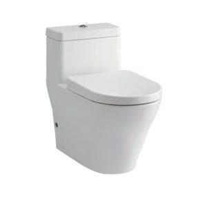 Bồn cầu TOTO 1 khối CW166RB#XW/TC384CVK#W/T53P100VR 1 khối nắp đóng êm TC384CVK#W