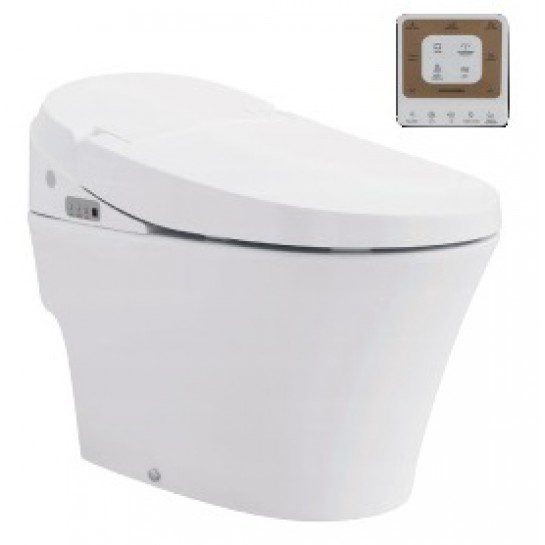 Bồn Cầu Thông Minh VIGLACERA V91