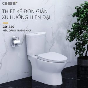 Alternative view of Bồn Cầu CAESAR CD1320 2 Khối Nắp Êm