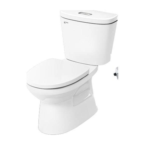 Bồn cầu INAX nắp rửa cơ C-306A+CW-S15VN