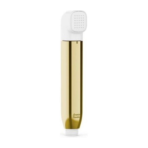 Vòi xịt vệ sinh American Standard WF-TS28CS