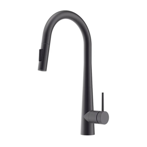 Vòi rửa chén Hafele HT24-SH1P417 567.24.498 màu đen