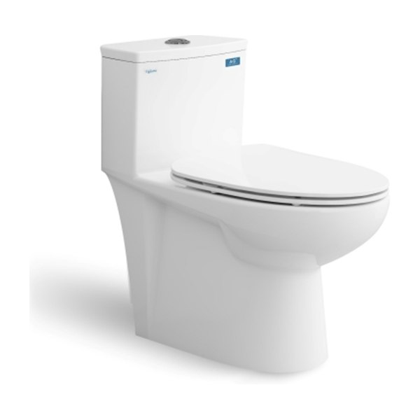Bàn cầu một khối V819 + Xịt VG826