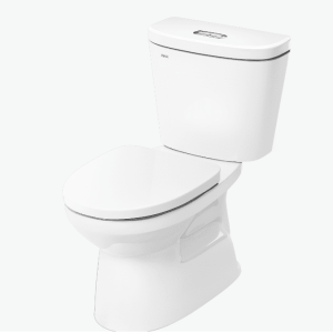 Bàn Cầu INAX C-306VA (C306VA) 2 Khối Nắp Thường