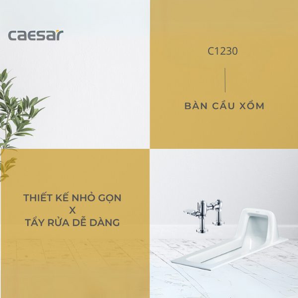Alternative view of Bồn cầu xổm C1230