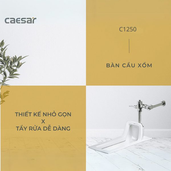 Alternative view of Bồn cầu xổm C1250