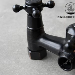 Ảnh công trình thực tế Sen Cây Kanly GCS05B Nóng Lạnh Đồng Thau