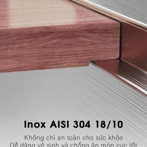 Ảnh công trình thực tế CHẬU RỬA 2 HỘC LIKEN NL748
