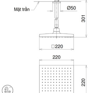 Ảnh công trình thực tế Bát Sen Gắn Trần TOTO DB144-1CR Vuông 220mm