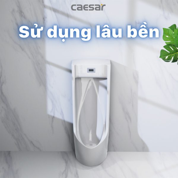 Ảnh công trình thực tế Bệ Tiểu Treo Caesar U0284