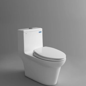 Bàn cầu một khối V65 + Xịt VG826 + VG853