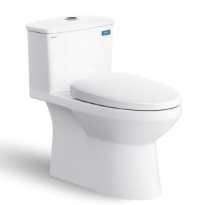 Bàn cầu một khối V811 + Xịt VG826