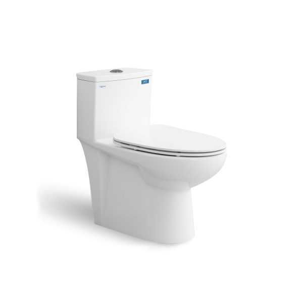 Bàn cầu một khối V819 + Xịt VG826