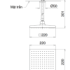 Bát Sen Gắn Trần TOTO DB144-1CR Vuông 220mm - ảnh 3