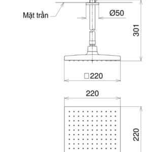 Ảnh công trình thực tế Bát Sen Gắn Trần TOTO DB144-1CR Vuông 220mm