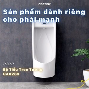 Ảnh công trình thực tế Bệ Tiểu Treo Caesar U0283