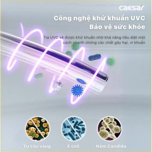 Ảnh công trình thực tế Bồn cầu 1 khối nắp điện tử Caesar C1353F/TAF610H