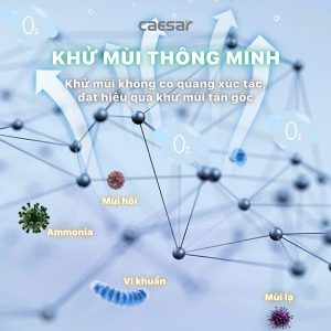 Ảnh công trình thực tế Bồn cầu 1 khối nắp điện tử Caesar C1363F/TAF710H