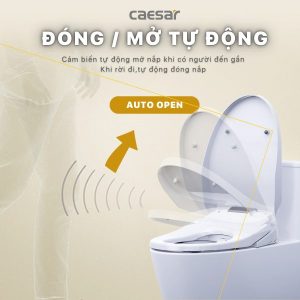 Ảnh công trình thực tế Bồn cầu 1 khối nắp điện tử Caesar C1375F/TAF610H