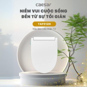Ảnh công trình thực tế Bồn cầu 1 khối nắp điện tử Caesar C1391F/TAF512H