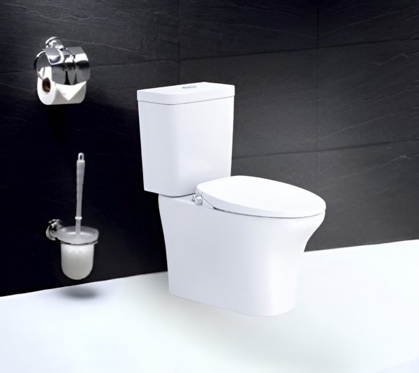 Bồn cầu 2 khối Caesar nắp cơ CD1341/TAF060