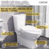 Bồn cầu 2 khối nắp cơ Caesar CD1320/TAF060 - ảnh 2