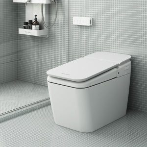Ảnh công trình thực tế Bồn Cầu Điện Tử AMERICAN STANDARD KP-8310 1 Khối Nắp Êm PLAT