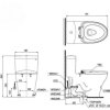 Bồn Cầu Điện Tử TOTO MS855DW7#XW Kèm Nắp Rửa Điện Tử WASHLET Dòng C2 – TCF6631A (220V) - ảnh 2
