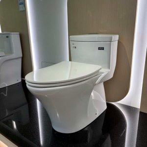Ảnh công trình thực tế Bồn cầu INAX 1 khối AC-900VRN-2