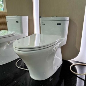 Ảnh công trình thực tế Bồn cầu INAX 1 khối AC-959VAN-2
