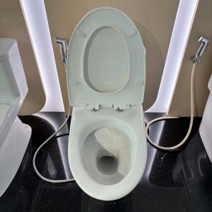 Ảnh công trình thực tế Bồn cầu INAX 1 khối AC-959VAN-2