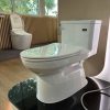 Bồn cầu INAX 1 khối AC-969VN-2 - ảnh 4