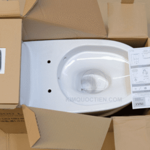 Ảnh công trình thực tế Bồn Cầu INAX AC-1052VN 1 Khối