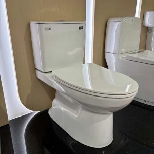 Ảnh công trình thực tế bồn cầu INAX C-514VAN 2 khối
