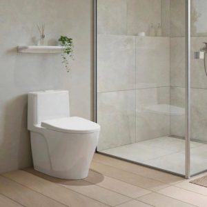 Ảnh công trình thực tế Bồn Cầu INAX Nắp Êm AC-989VN (AC989VN) 1 Khối