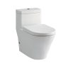 Bồn cầu TOTO 1 khối CW166RB#XW/TC384CVK#W/T53P100VR 1 khối nắp đóng êm TC384CVK#W