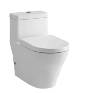 Ảnh công trình thực tế Bồn cầu TOTO 1 khối CW166RB#XW/TC384CVK#W/T53P100VR 1 khối nắp đóng êm TC384CVK#W
