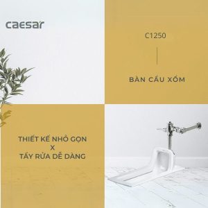 Ảnh công trình thực tế Bồn cầu xổm C1250