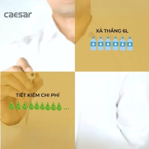 Ảnh công trình thực tế Bồn cầu xổm C1250