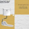 Bồn Cầu Xổm CAESAR CT1250 Kèm Thùng Nước Treo Tường - ảnh 3