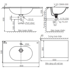 Ảnh công trình thực tế Chậu bàn CB69