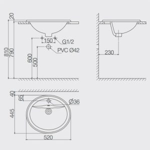 Ảnh công trình thực tế Chậu dương vành CD12