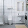 Chậu lavabo INAX L-312VEC treo tường - ảnh 4