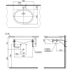 Chậu Rửa Mặt Lavabo TOTO LT546#W Âm Bàn - ảnh 2